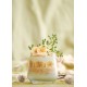 Glass Set (6 Pieces) LV-LAL361F Transparent Hermia Glass Set (6 Pieces) LV-LAL361F Transparent