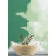 Hermia Glass Bowl Set (2 Pieces) LV-VIR281N Transparent