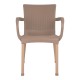 ΠΟΛΥΘΡΟΝΑ ΠΟΛΥΠΡΟΠΥΛΕΝΙΟΥ RATTAN ΠΟΔΙ ALU HM5591.02 ΚΑΠΟΥΤΣΙΝΟ 60x60x82 cm ΠΟΛΥΘΡΟΝΑ ΠΟΛΥΠΡΟΠΥΛΕΝΙΟΥ RATTAN ΠΟΔΙ ALU HM5591.02 ΚΑΠΟΥΤΣΙΝΟ 60x60x82 cm