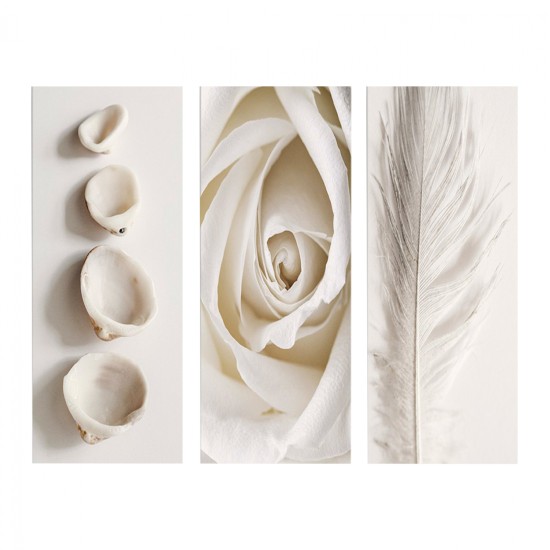 ΠΙΝΑΚΑΣ ΤΡΙΠΤΥΧΟ MDF NATURAL ELEMENTS HM7204.05 60X0,3X50 εκ. ΠΙΝΑΚΑΣ ΤΡΙΠΤΥΧΟ MDF NATURAL ELEMENTS HM7204.05 60X0,3X50 εκ.