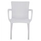 ΠΟΛΥΘΡΟΝΑ ΠΟΛΥΠΡΟΠΥΛΕΝΙΟΥ RATTAN ΠΟΔΙ ALU HM5591.01 ΧΡΩΜΑ ΛΕΥΚΟ 60x60x82 cm ΠΟΛΥΘΡΟΝΑ ΠΟΛΥΠΡΟΠΥΛΕΝΙΟΥ RATTAN ΠΟΔΙ ALU HM5591.01 ΧΡΩΜΑ ΛΕΥΚΟ 60x60x82 cm