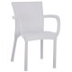 ΠΟΛΥΘΡΟΝΑ ΠΟΛΥΠΡΟΠΥΛΕΝΙΟΥ RATTAN ΠΟΔΙ ALU HM5591.01 ΧΡΩΜΑ ΛΕΥΚΟ 60x60x82 cm ΠΟΛΥΘΡΟΝΑ ΠΟΛΥΠΡΟΠΥΛΕΝΙΟΥ RATTAN ΠΟΔΙ ALU HM5591.01 ΧΡΩΜΑ ΛΕΥΚΟ 60x60x82 cm