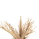ΔΙΑΚΟΣΜΗΤΙΚΟ ΔΕΝΤΡΟ HM7871 RATTAN ΣΕ ΦΥΣΙΚΟ ΧΡΩΜΑ Φ110x180Yεκ. ΔΙΑΚΟΣΜΗΤΙΚΟ ΔΕΝΤΡΟ HM7871 RATTAN ΣΕ ΦΥΣΙΚΟ ΧΡΩΜΑ Φ110x180Yεκ.