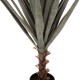 ΔΙΑΚΟΣΜΗΤΙΚΟ ΣΥΝΘΕΤΙΚΟ ΦΥΤΟ HM7987 SISAL AGAVE ΣΕ ΓΛΑΣΤΡΑ 120Υεκ. ΔΙΑΚΟΣΜΗΤΙΚΟ ΣΥΝΘΕΤΙΚΟ ΦΥΤΟ HM7987 SISAL AGAVE ΣΕ ΓΛΑΣΤΡΑ 120Υεκ.