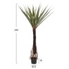 ΔΙΑΚΟΣΜΗΤΙΚΟ ΣΥΝΘΕΤΙΚΟ ΦΥΤΟ HM7989 ΔΕΝΤΡΟ SISAL ΣΕ ΓΛΑΣΤΡΑ 200Υεκ.