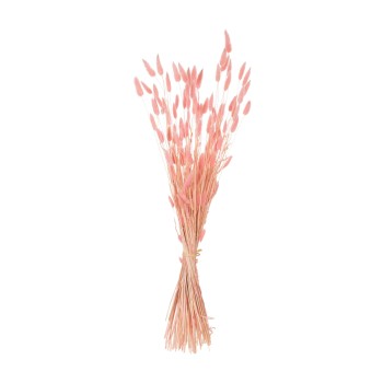 ΔΙΑΚΟΣΜΗΤΙΚΟ ΜΠΟΥΚΕΤΟ ΑΠΟΞΗΡΑΜΕΝΟ HM7960 RABBIT TAIL-PINK 75Υεκ.