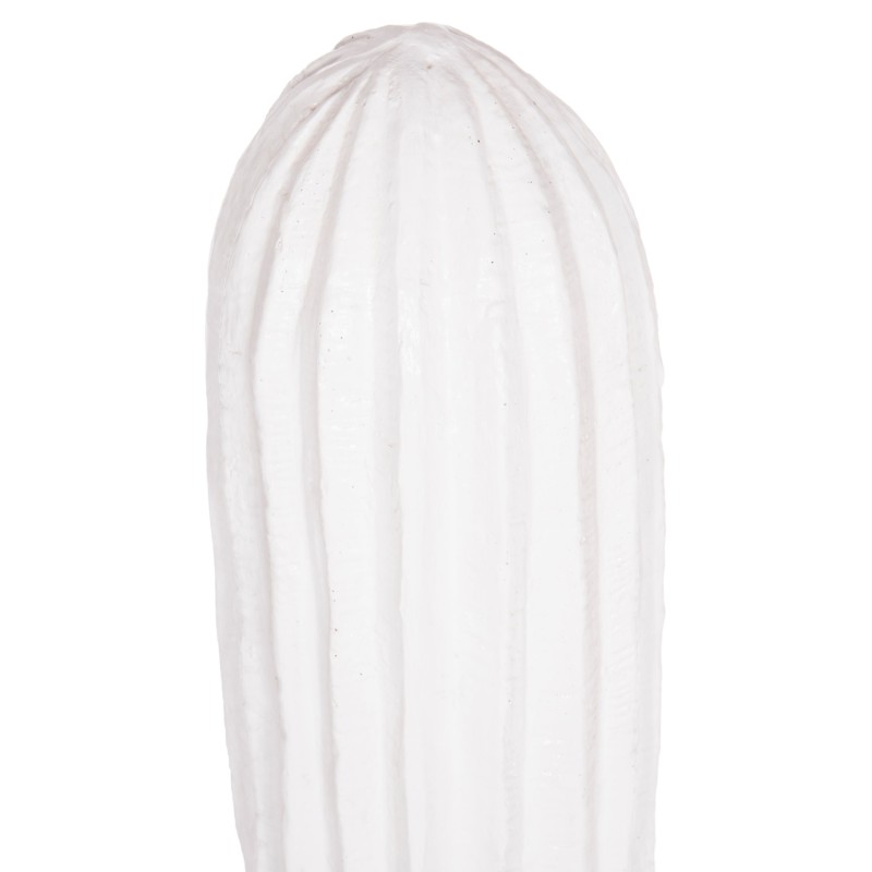 ΔΙΑΚΟΣΜΗΤΙΚΟΣ ΚΑΚΤΟΣ ΔΑΠΕΔΟΥ CACTUS HM4386.02L ΓΥΨΟΣ ΣΕ ΛΕΥΚΟ 63x37x150Υεκ.