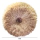 ΔΙΑΚΟΣΜΗΤΙΚΟ ΤΟΙΧΟΥ ΣΤΡΟΓΓΥΛΟ ABOR HM4717 ΙΝΕΣ SISAL ΦΥΣΙΚΟ Φ60εκ.