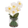 ΔΙΑΚΟΣΜΗΤΙΚΟ ΣΥΝΘΕΤΙΚΟ ΦΥΤΟ HM4738 ΛΟΥΛΟΥΔΙ PHALAENOPSIS ΣΕ ΓΥΑΛΙΝΟ ΒΑΖΟ 12x24x30Υεκ