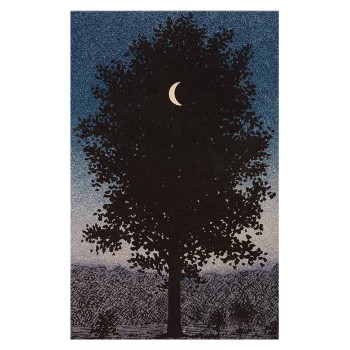 ΠΙΝΑΚΑΣ TOIXOY ΣΕΙΡΑ GOBI HM4850 ΕΚΤΥΠΩΜΕΝΟΣ ΚΑΜΒΑΣ 45x3(πάχος)x70Yεκ.