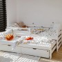 SENSO 80x160 white bunk bed Lano Furniture