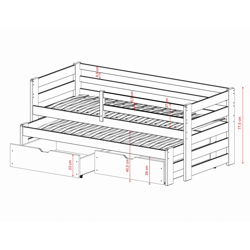 SENSO 90x200 olive double trundle bed Lano Furniture