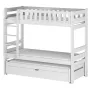HARVEY 80x200 white bunk bed Lano Furniture