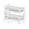 TEZO 80x160 white bunk bed Lano Furniture