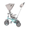 CHILDREN TRICYCLE LUCKY CREW GREY&GREEN