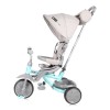 CHILDREN TRICYCLE LUCKY CREW GREY&GREEN