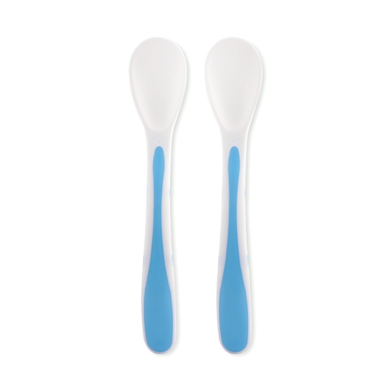 SPOONS IN CASE 2 PCS BLUE
