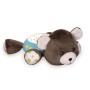 NIGHT LIGHT BEAR