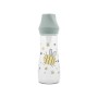 BOTTLE MY FRIEND 250ML ICEBERG GREEN