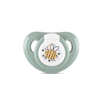 PACIFIER WITH COVER MY FRIEND 2PCS ICEBERG GREEN