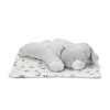 POFFY DUO WHITE BLANKET WITH GREY TEDDY BEAR  PILL