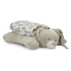 POFFY DUO WHITE BLANKET WITH BEIGE TEDDY BEAR PILL