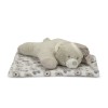 POFFY DUO WHITE BLANKET WITH BEIGE TEDDY BEAR PILL