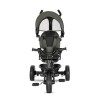 TRICYCLE TINO GREEN WITH 360 ROTATION