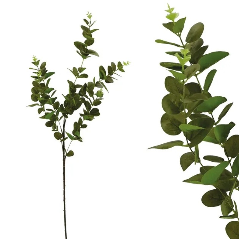 ΚΛΑΔΙ ΔΙΑΚΟΣΜΗΤΙΚΟ  ΕΥΚΑΛΥΠΤΟΣ 2ΧΡΩΜΟ ΠΡΑΣΙΝΟ REAL TOUCH Y97/54cm 40/240ΚΙΒ