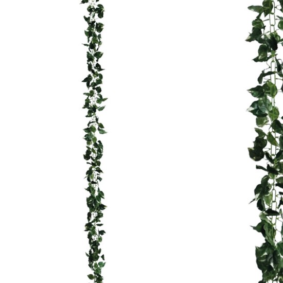 ΓΙΡΛΑΝΤΑ ΠΟΘΟΣ ΠΡΑΣΙΝΟ/ΚΙΤΡΙΝΟ ΑΛΥΣΙΔΑ Υ270cm 1/120ΚΙΒ ΓΙΡΛΑΝΤΑ ΠΟΘΟΣ ΠΡΑΣΙΝΟ/ΚΙΤΡΙΝΟ ΑΛΥΣΙΔΑ Υ270cm 1/120ΚΙΒ