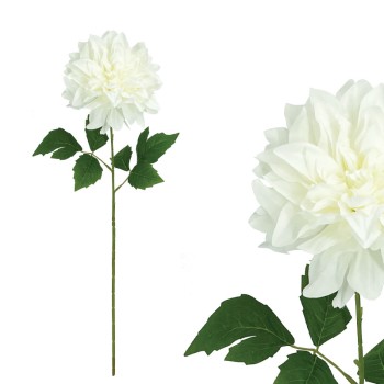 ΣΑΜΠΑΝΙ ΚΛΑΔΙ ΝΤΑΛΙΑ - Y67cm 24/144ΚΙΒ