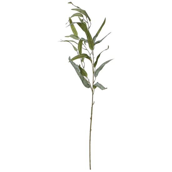 ΚΛΑΔΙ ΕΥΚΑΛΥΠΤΟΣ ΠΡΑΣΙΝΟ ΠΑΓΟΥ - Υ90cm 60/360ΚΙΒ ΚΛΑΔΙ ΕΥΚΑΛΥΠΤΟΣ ΠΡΑΣΙΝΟ ΠΑΓΟΥ - Υ90cm 60/360ΚΙΒ
