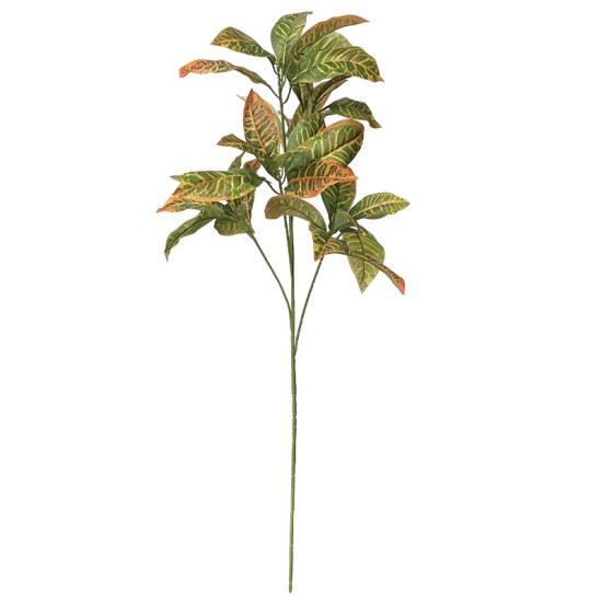 ΚΛΑΔΙ ΚΡΟΤΩΝΑΣ ΠΡΑΣΙΝΟ/ΚΙΤΡΙΝΟ - Υ90cm 12/120ΚΙΒ ΚΛΑΔΙ ΚΡΟΤΩΝΑΣ ΠΡΑΣΙΝΟ/ΚΙΤΡΙΝΟ - Υ90cm 12/120ΚΙΒ