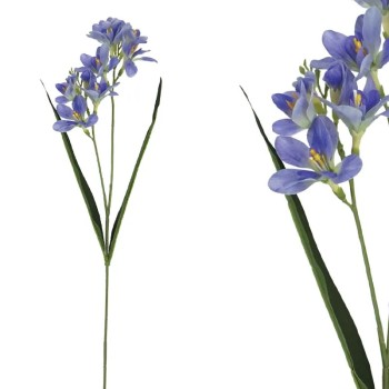 ΚΛΑΔΙ ΦΡΕΖΙΑ REAL ΜΩΒ TOUCH ΜΕ 2 ΚΛΑΔΙΑ ~ 5 ΛΟΥΛΟΥΔΙΑ - Y65cm 36/432ΚΙΒ