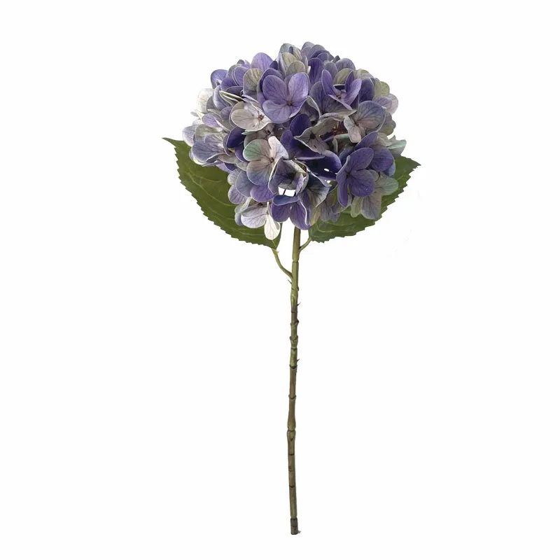 ΚΛΑΔΙ ΟΡΤΑΝΣΙΑΣ ΜΩΒ REAL TOUCH ΜΕ 2 ΦΥΛΛΑ - Φ22.5x55cm 24/240ΚΙΒ