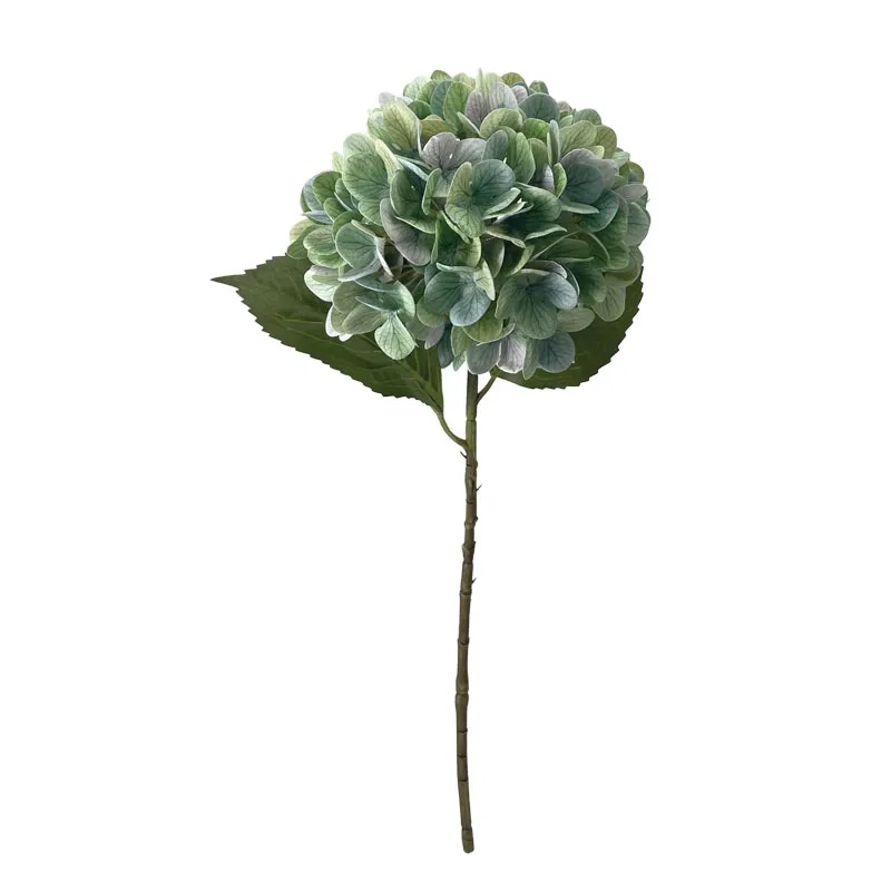 ΚΛΑΔΙ ΟΡΤΑΝΣΙΑΣ ΠΡΑΣΙΝΟ REAL TOUCH ΜΕ 2 ΦΥΛΛΑ - Φ22.5x55cm 24/240ΚΙΒ