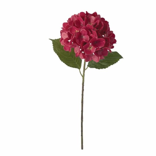 ΚΛΑΔΙ ΟΡΤΑΝΣΙΑΣ ΚΟΚΚΙΝΟ REAL TOUCH ΜΕ 2 ΦΥΛΛΑ - Φ22.5x55cm 24/240ΚΙΒ ΚΛΑΔΙ ΟΡΤΑΝΣΙΑΣ ΚΟΚΚΙΝΟ REAL TOUCH ΜΕ 2 ΦΥΛΛΑ - Φ22.5x55cm 24/240ΚΙΒ