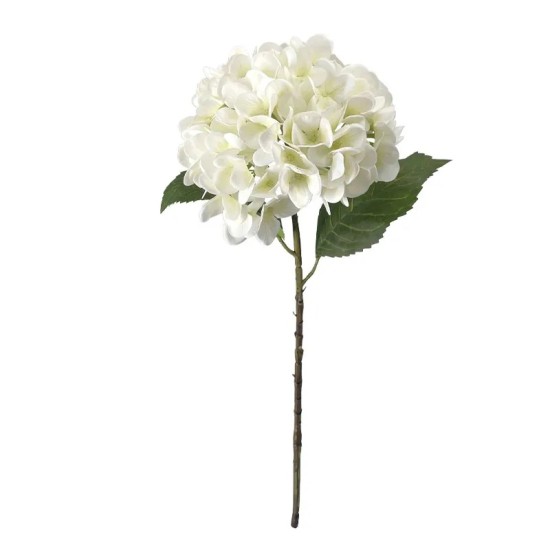 ΚΛΑΔΙ ΟΡΤΑΝΣΙΑΣ ΛΕΥΚΟ REAL TOUCH ΜΕ 2 ΦΥΛΛΑ - Φ22.5x55cm 24/240ΚΙΒ ΚΛΑΔΙ ΟΡΤΑΝΣΙΑΣ ΛΕΥΚΟ REAL TOUCH ΜΕ 2 ΦΥΛΛΑ - Φ22.5x55cm 24/240ΚΙΒ