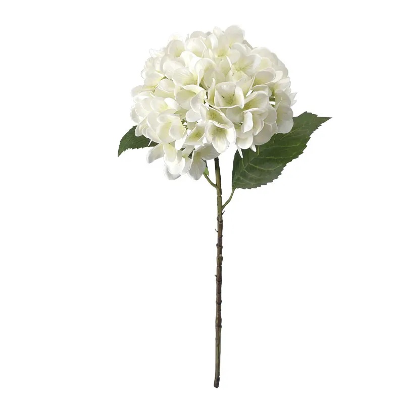 ΚΛΑΔΙ ΟΡΤΑΝΣΙΑΣ ΛΕΥΚΟ REAL TOUCH ΜΕ 2 ΦΥΛΛΑ - Φ22.5x55cm 24/240ΚΙΒ