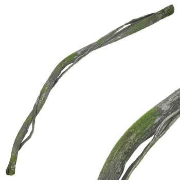 ΚΛΑΡΑ ΚΑΦΕ/ΠΡΑΣΙΝΟ ΜΕ ΒΡΥΑ & ΕΞΤΡΑ ΦΛΟΙΟ ΕΥΚΑΜΠΤΗ - Υ180cm 24/96KIB