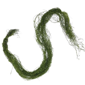 ΚΡΕΜΑΣΤΗ ΡΙΖΑ ΒΡΥΑ ΧΟΡΤΟ ΠΡΑΣΙΝΟ - Υ122cm 24/96KIB