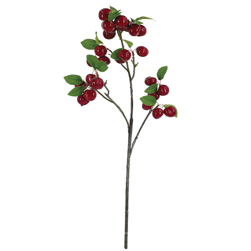 ΚΛΑΔΙ ΞΙΝΟΜΗΛΙΑ ΚΟΚΚΙΝΟ ΜΕ ΚΑΡΠΟΥΣ - Y69cm 12/144ΚΙΒ