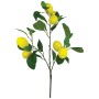 ΚΛΑΔΙ ΛΕΜΟΝΙΑΣ ΚΙΤΡΙΝΟ ΜΕ ΚΑΡΠΟΥΣ - Y62cm 12/72ΚΙΒ