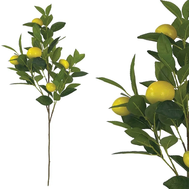 ΚΛΑΔΙ ΔΙΑΚΟΣΜΗΣΗΣ ΛΕΜΟΝΙΑΣ ΠΡΑΣΙΝΟ/ΚΙΤΡΙΝΟ ΜΕ ΚΑΡΠΟΥΣ Χ5 - 26x21x72cm 12/144ΚΙΒ