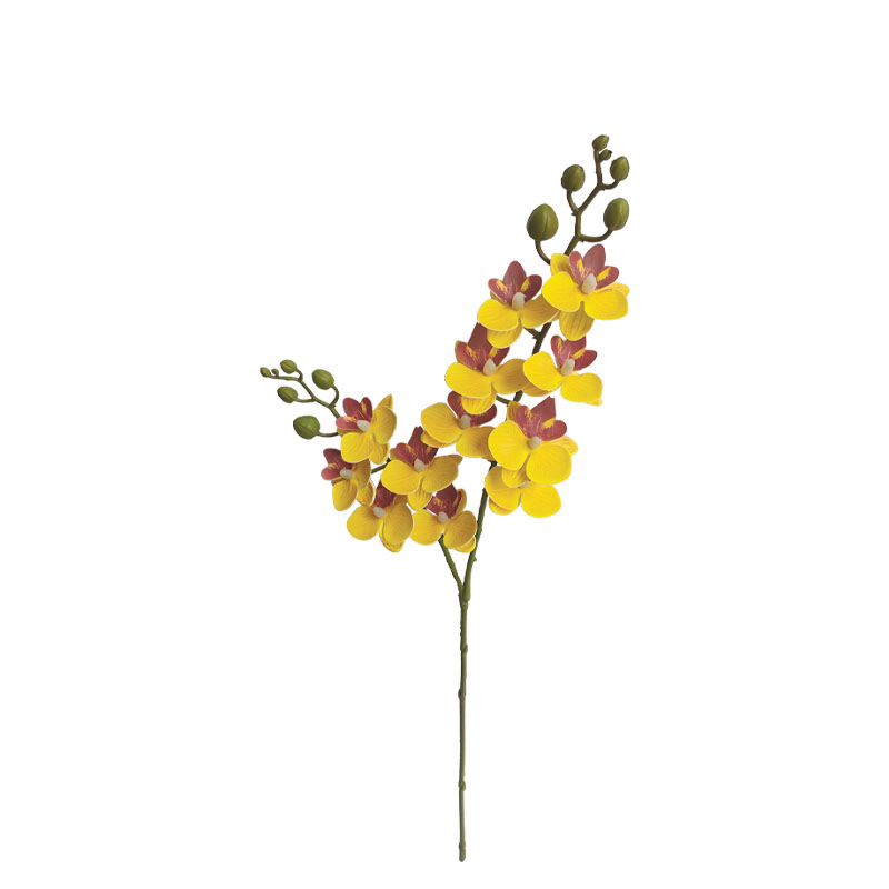 ΚΙΤΡΙΝΟ ΚΛΑΔΙ ΔΙΑΚΟΣΜΗΣΗΣ ΟΡΧΙΔΕΑ ΦΑΛΑΙΝΟΨΙΣ Χ2 - Υ63.5cm 24/240ΚΙΒ