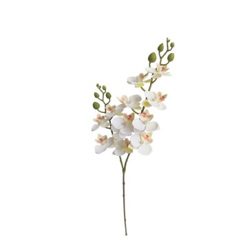 ΣΑΜΠΑΝΙ ΚΛΑΔΙ ΔΙΑΚΟΣΜΗΣΗΣ ΟΡΧΙΔΕΑ ΦΑΛΑΙΝΟΨΙΣ Χ2 - Υ63.5cm 24/240ΚΙΒ