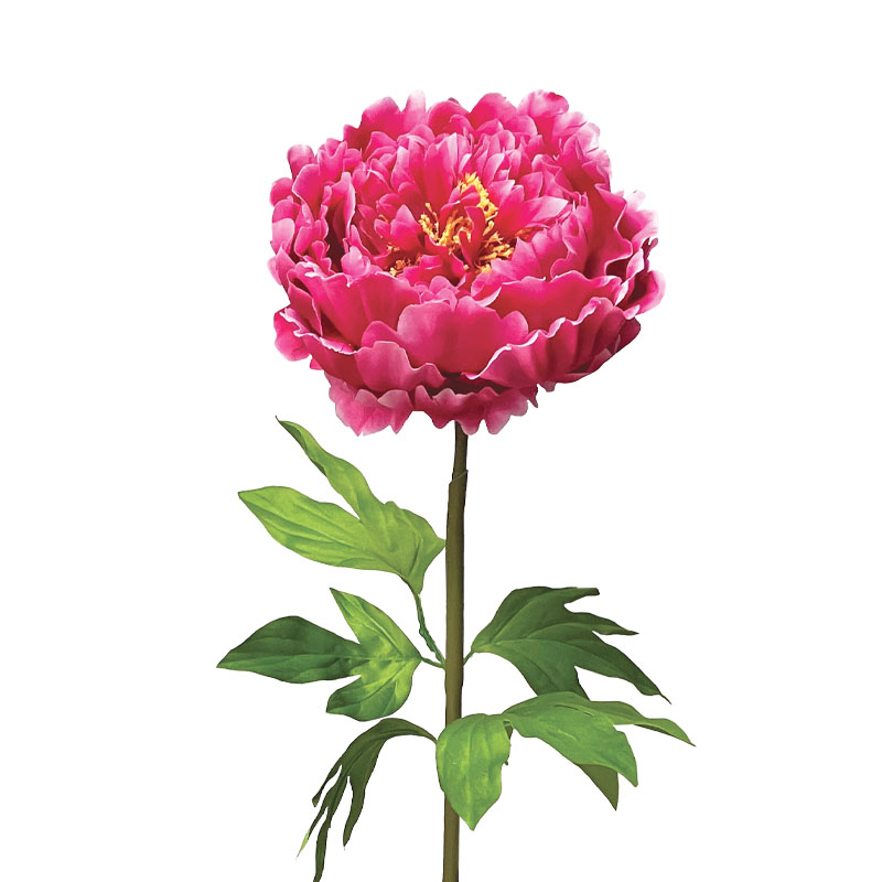 ΦΟΥΞ ΚΛΑΔΙ ΠΑΙΩΝΙΑ ΜΕ ΚΟΤΣΑΝΙ - Φ22x90cm 12/ΚΙΒ