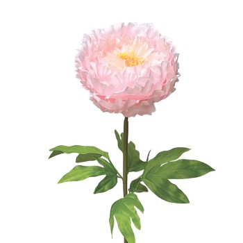 ΡΟΖ ΚΛΑΔΙ ΠΑΙΩΝΙΑ ΜΕ ΚΟΤΣΑΝΙ - Φ22x90cm 12/ΚΙΒ