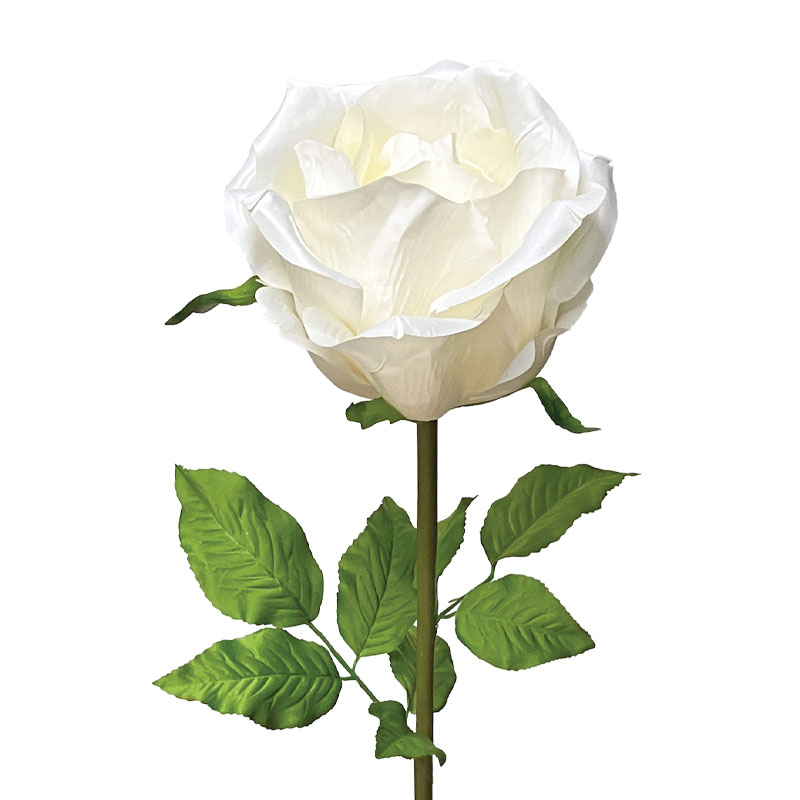 ΣΑΜΠΑΝΙ ΚΛΑΔΙ ΤΡΙΑΝΤΑΦΥΛΛΟ ΜΕ ΚΟΤΣΑΝΙ - Φ22x95cm 12/ΚΙΒ