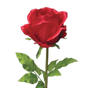 ΚΟΚΚΙΝΟ ΚΛΑΔΙ ΤΡΙΑΝΤΑΦΥΛΛΟ ΜΕ ΚΟΤΣΑΝΙ - Φ22x95cm 12/ΚΙΒ